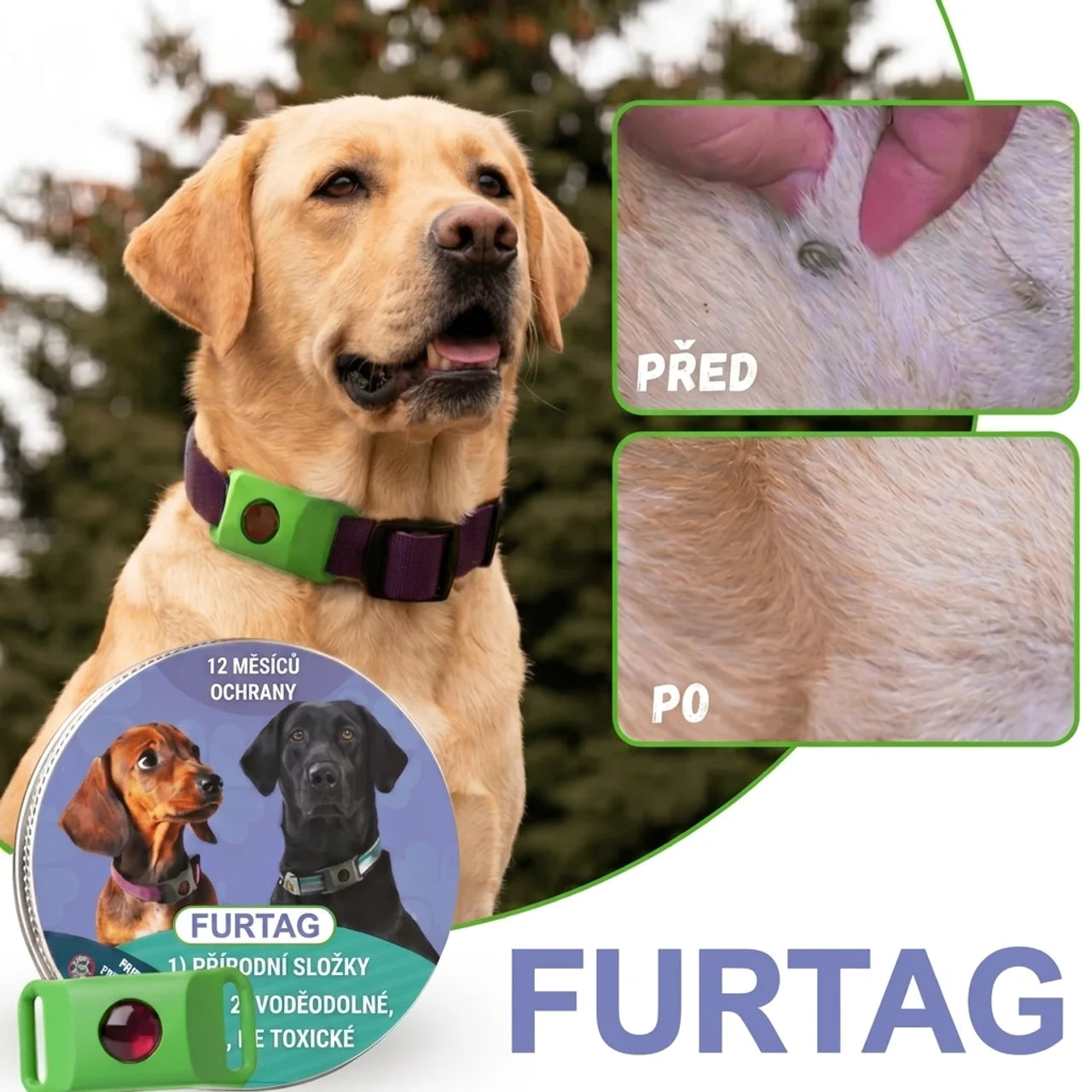 FurTag - Okamžitá ochrana vašeho psa před klíšťaty a blechami.